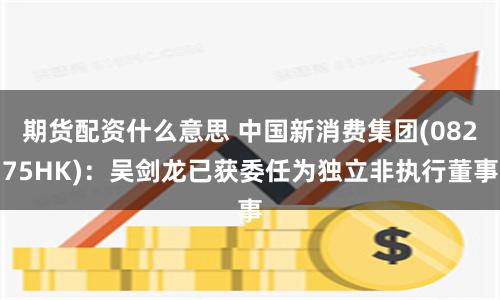 期货配资什么意思 中国新消费集团(08275HK)：吴剑龙已获委任为独立非执行董事
