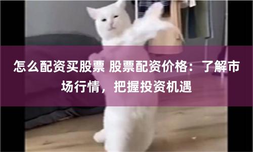 怎么配资买股票 股票配资价格：了解市场行情，把握投资机遇