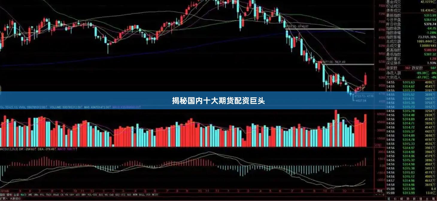 揭秘国内十大期货配资巨头