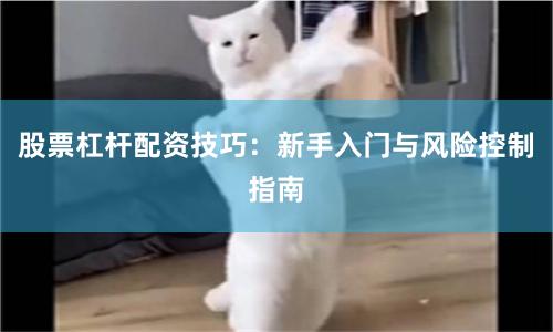 股票杠杆配资技巧：新手入门与风险控制指南