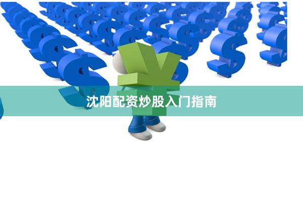 沈阳配资炒股入门指南