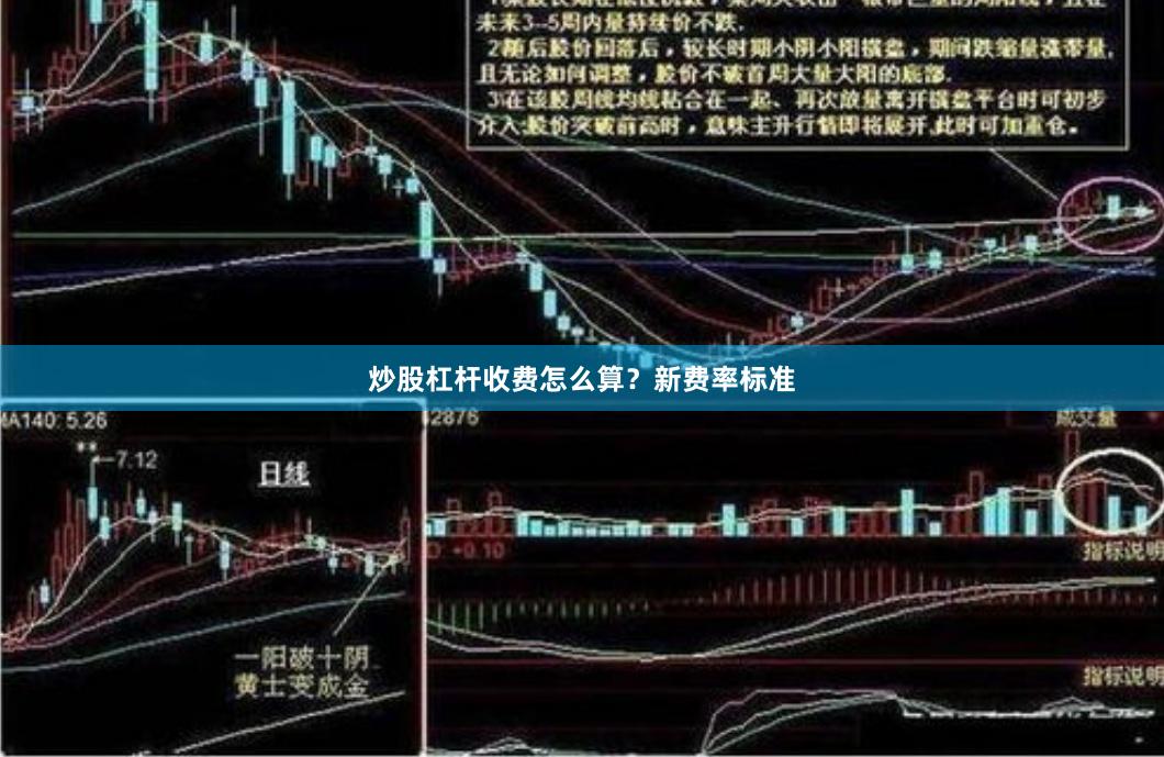 炒股杠杆收费怎么算？新费率标准