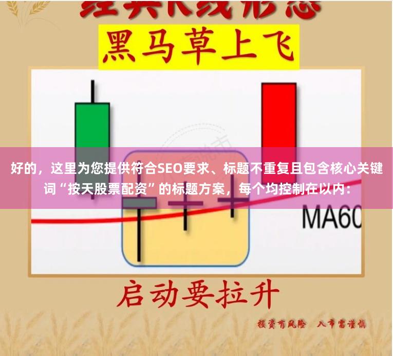 好的，这里为您提供符合SEO要求、标题不重复且包含核心关键词“按天股票配资”的标题方案，每个均控制在以内：
